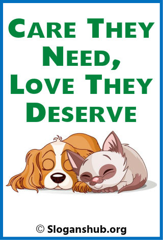 63 Best Animal Shelter Slogans & Taglines
