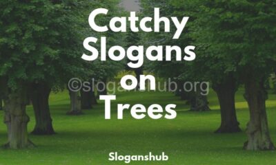 Slogans On Trees