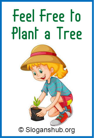 Tree Plantation Slogans