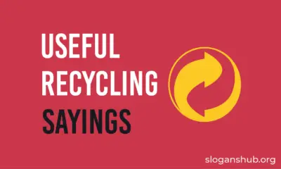 Useful Recycling Sayings