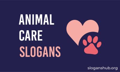 animal care slogans