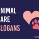 animal care slogans