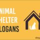 animal shelter slogans