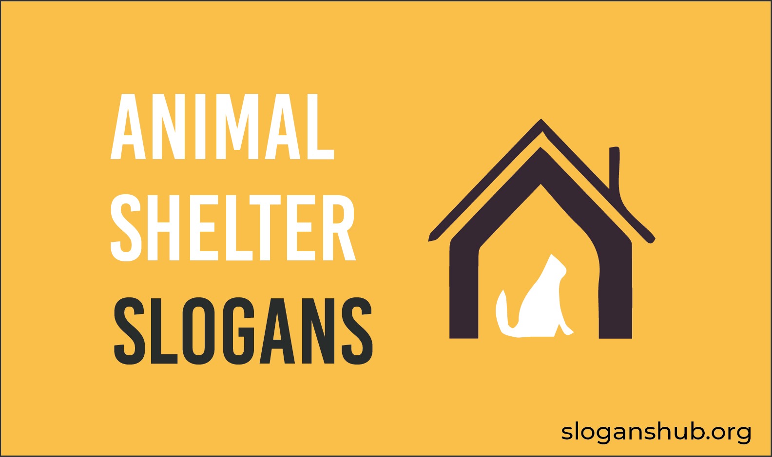 63 Best Animal Shelter Slogans & Taglines
