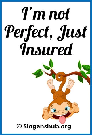 Top 65 Funny Insurance Slogans lines