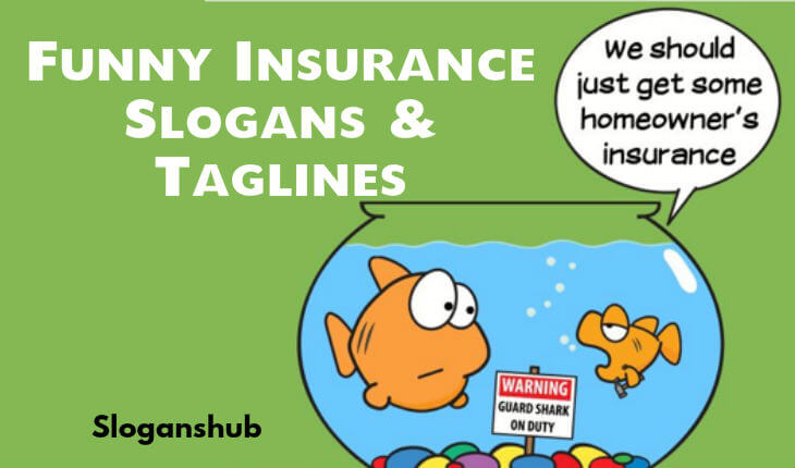 Top 65 Funny Insurance Slogans Taglines