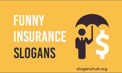 funny insurance slogans
