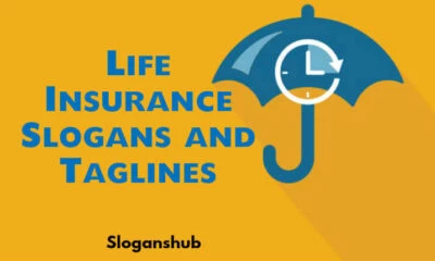 55 Best Auto Insurance Slogans and Taglines