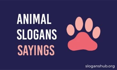 Animal slogans and sayings
