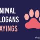 Animal slogans and sayings