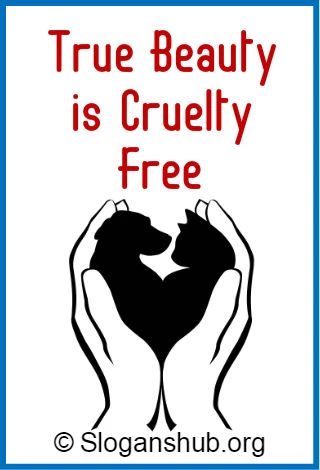 Animal Cruelty Slogans 1