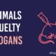 animal cruelty slogans