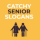 60 Catchy Senior 2018 Slogans