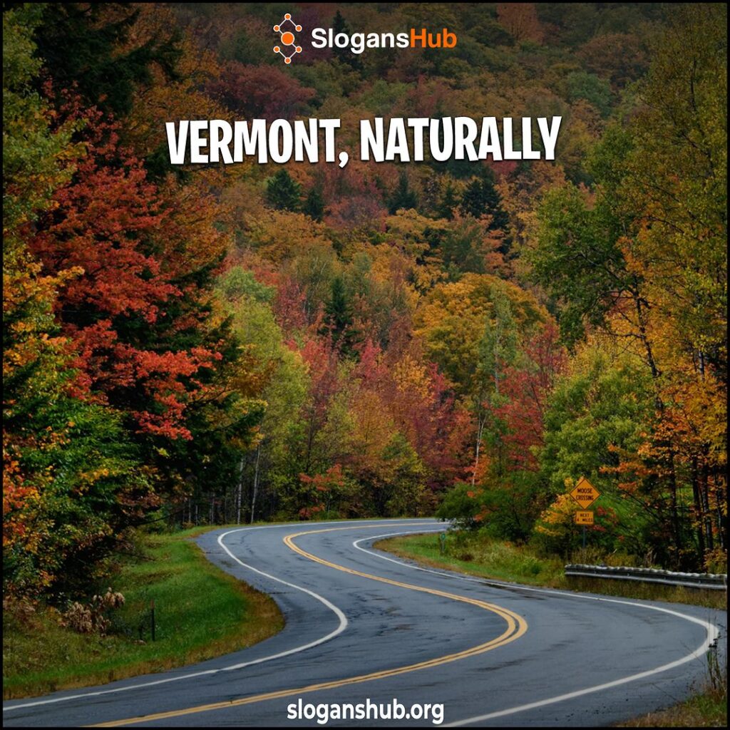 Best Vermont Slogans