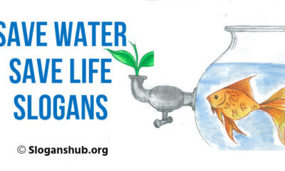 Save Water Save Life Slogans