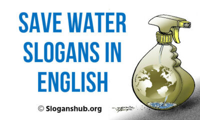 Save Water Slogans in English