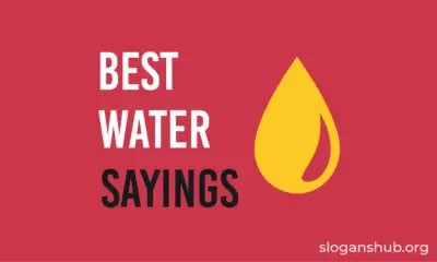 Best Water Sayings