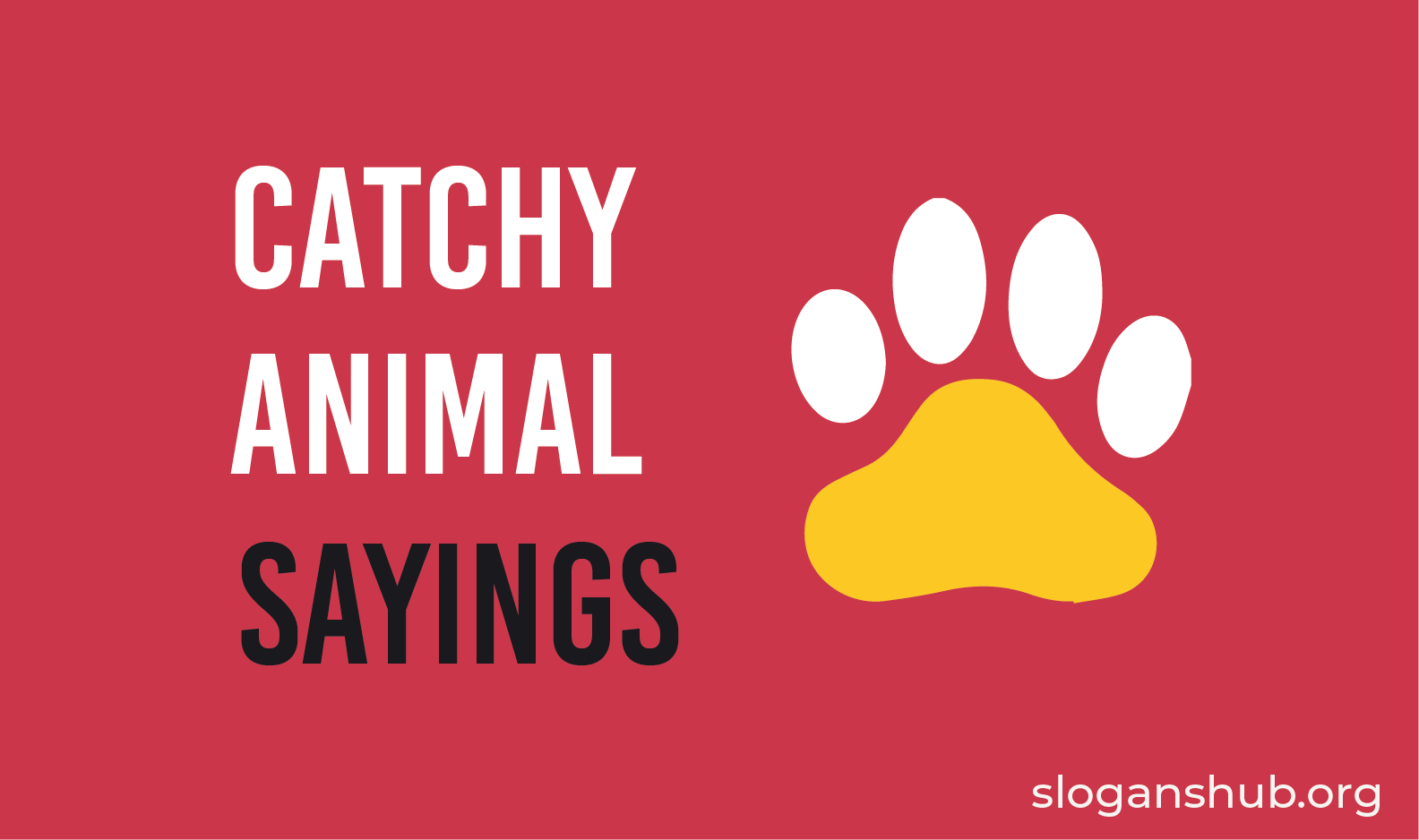 35-catchy-animal-sayings