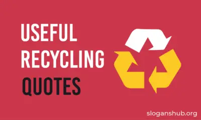 Useful Recycling Quotes