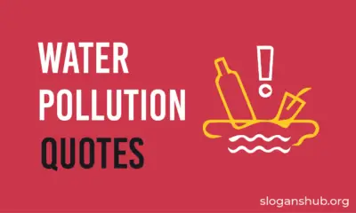 Water Pollution Quotes