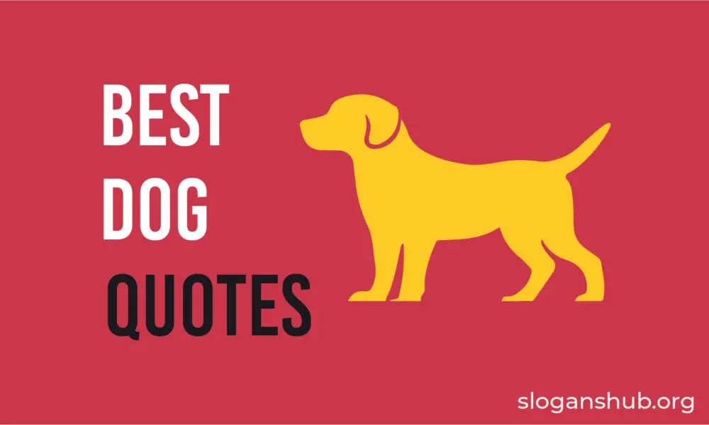 137 Best Dog Quotes & Sayings Slogans Hub