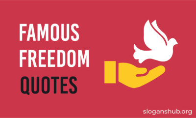 Famous Freedom Quotes