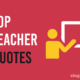 Teacher Quotes