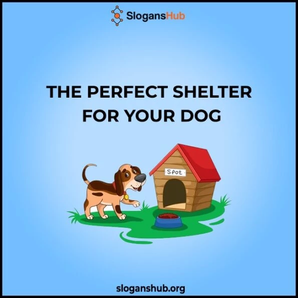 420 Catchy Dog kennel Slogans & Catchy Doggy Daycare Slogans