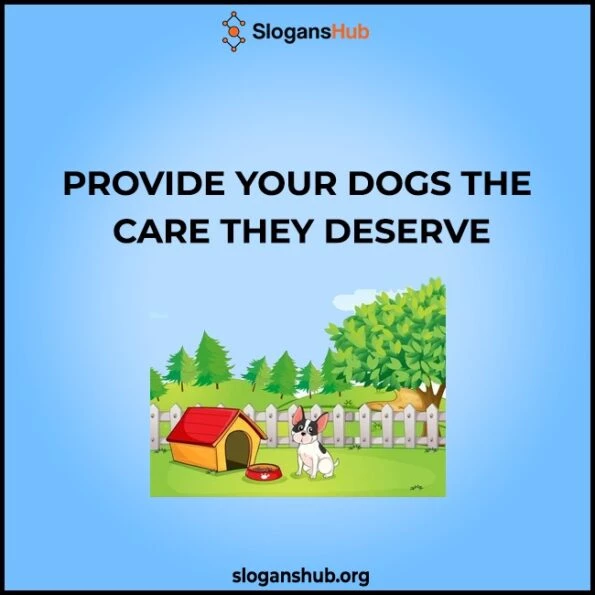 420 Catchy Dog kennel Slogans & Catchy Doggy Daycare Slogans