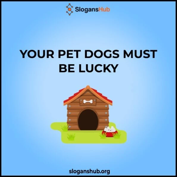 420 Catchy Dog kennel Slogans & Catchy Doggy Daycare Slogans