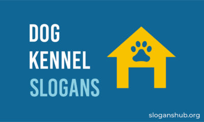 Dog kennel Slogans