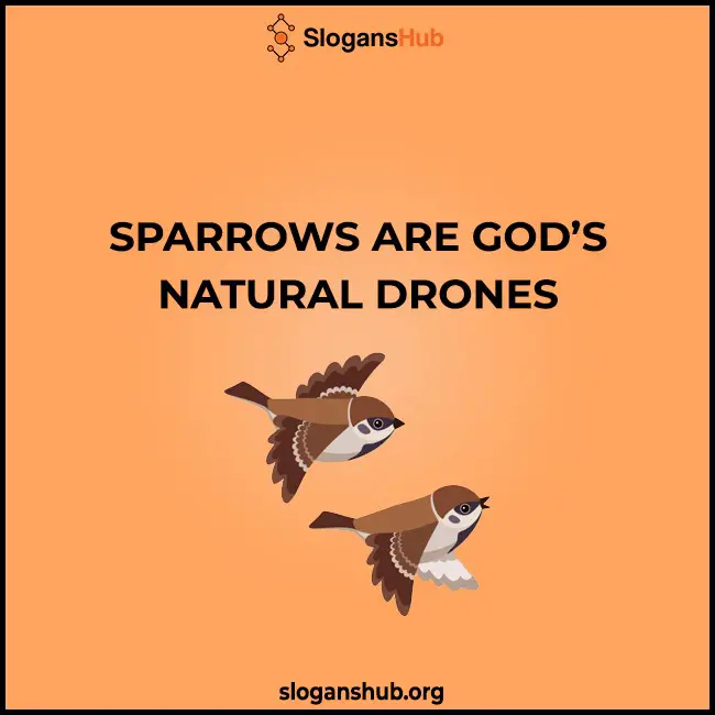 World Sparrow Day Messages
