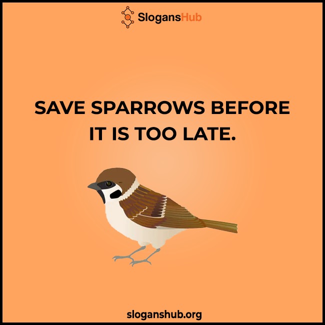 Best Sparrow Day Slogans