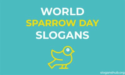 world sparrow day slogans