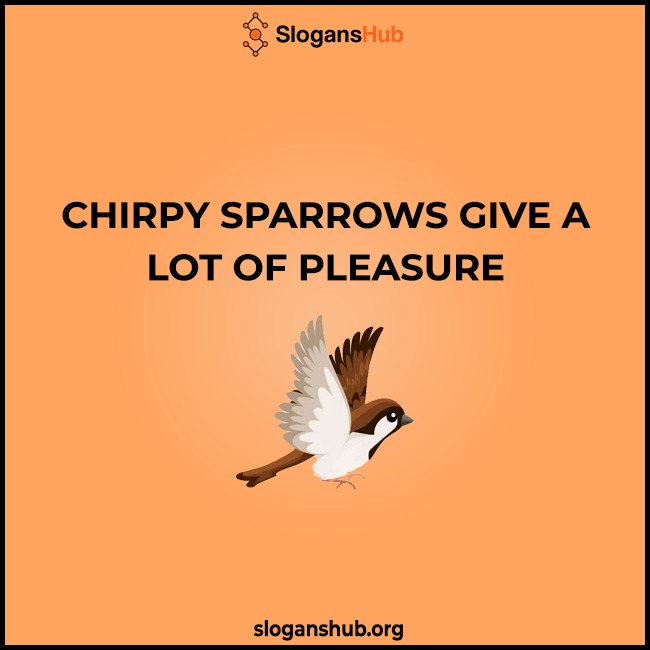 Slogans For World Sparrow Day