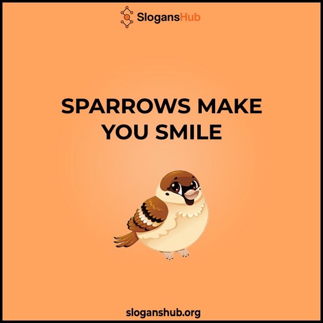 Unique Sparrow Day Slogans