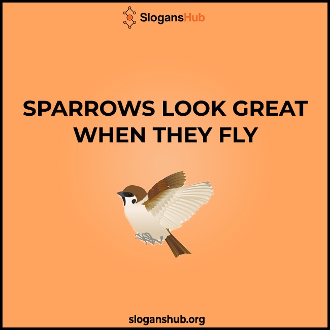 Short Sparrow Slogans