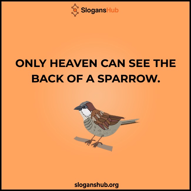 Top 10 World Sparrow Day Slogans