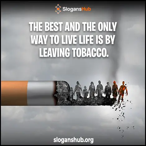 Tobacco Slogans