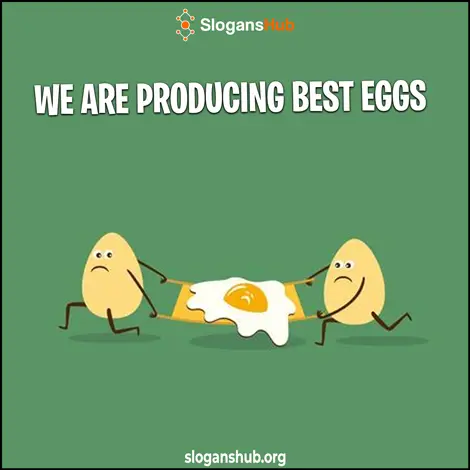 Just Egg Slogan