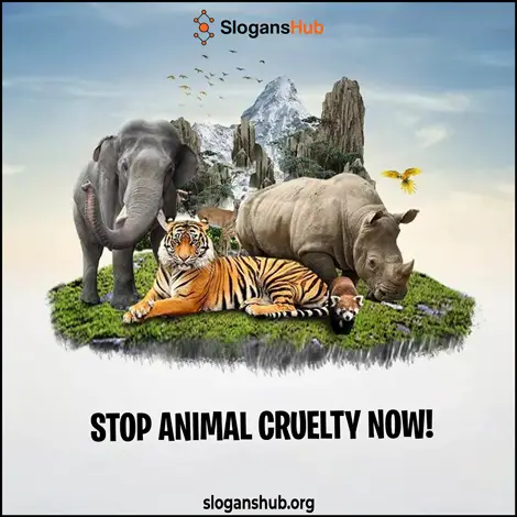 Animal Protection Slogans