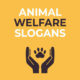 Animal Welfare Slogans