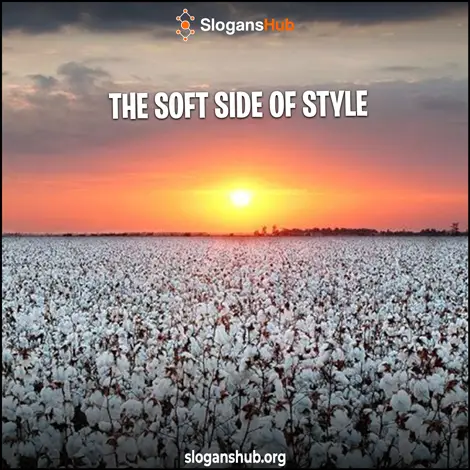Cotton Slogan Ideas
