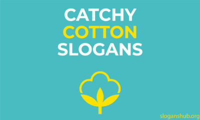 Catchy Cotton Slogans