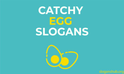 eggs slogans