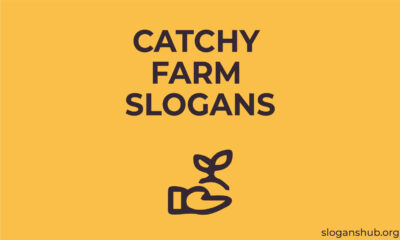 catchy-farm-slogan