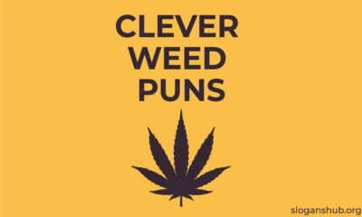clever-weed-puns