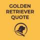 Golden-Retriever-Quote