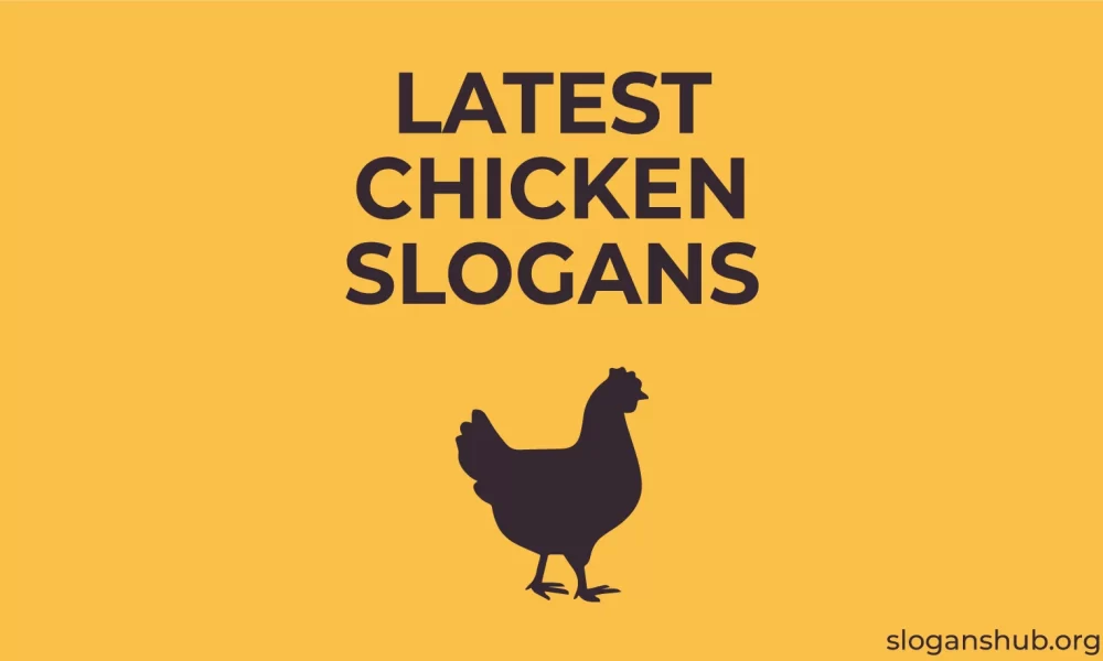 300 Latest Chicken Slogans & Funny Chicken Slogans