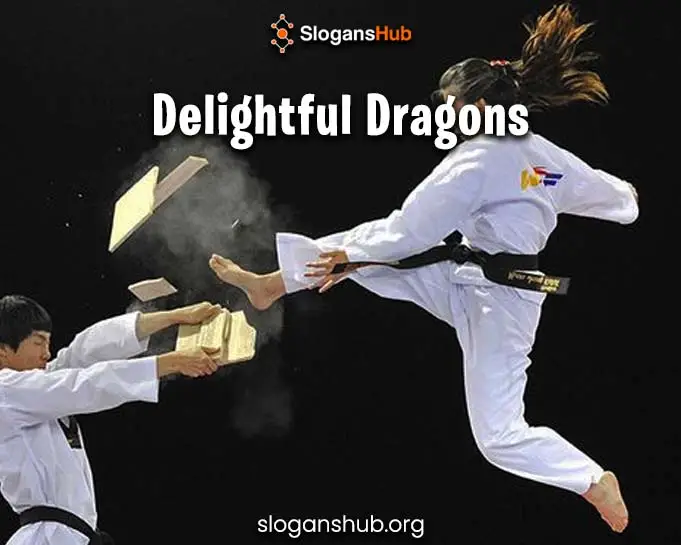 145 Latest Taekwondo Team Names Taekwondo Squad Names 145 Latest Taekwondo Team Names Taekwondo Squad Names